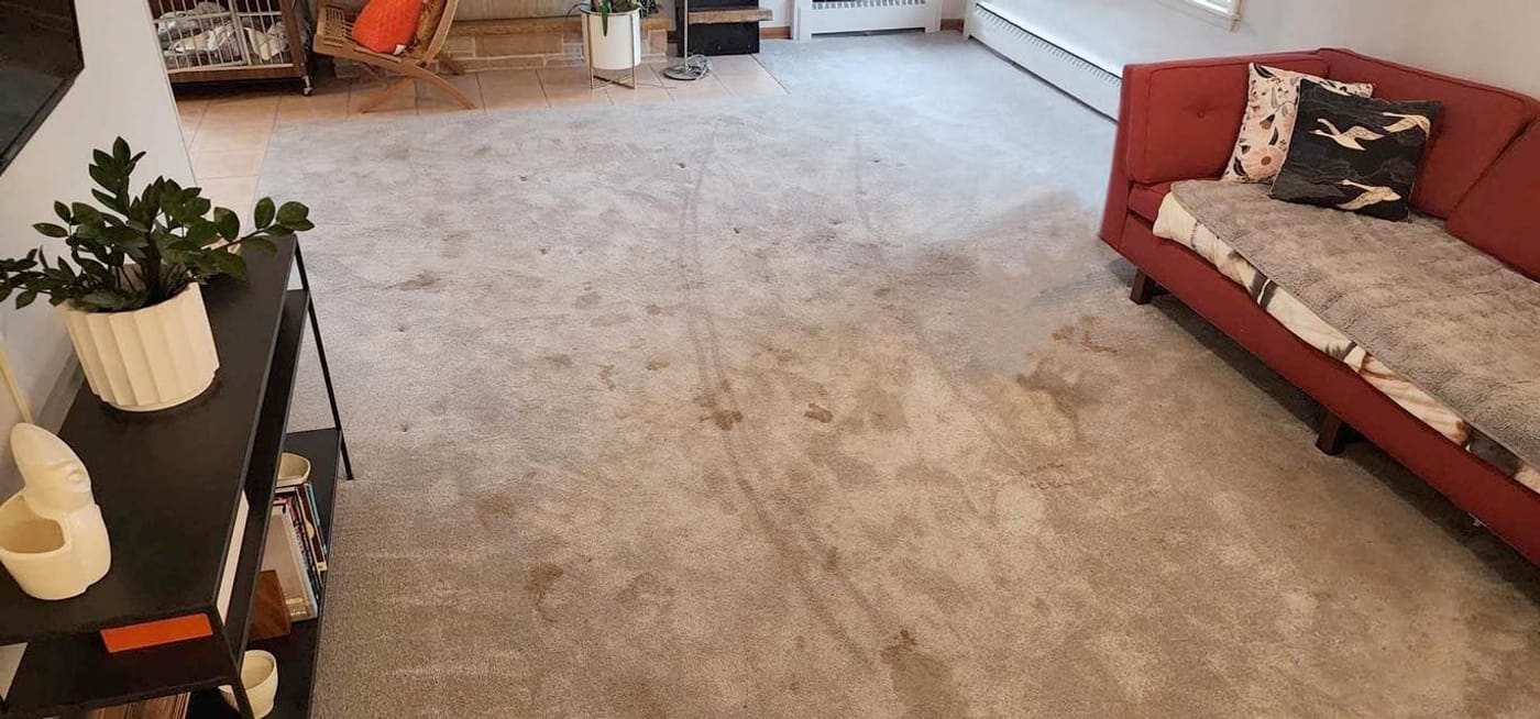 A living room carpet before cleaning, soiled and matted through the middle of the floor