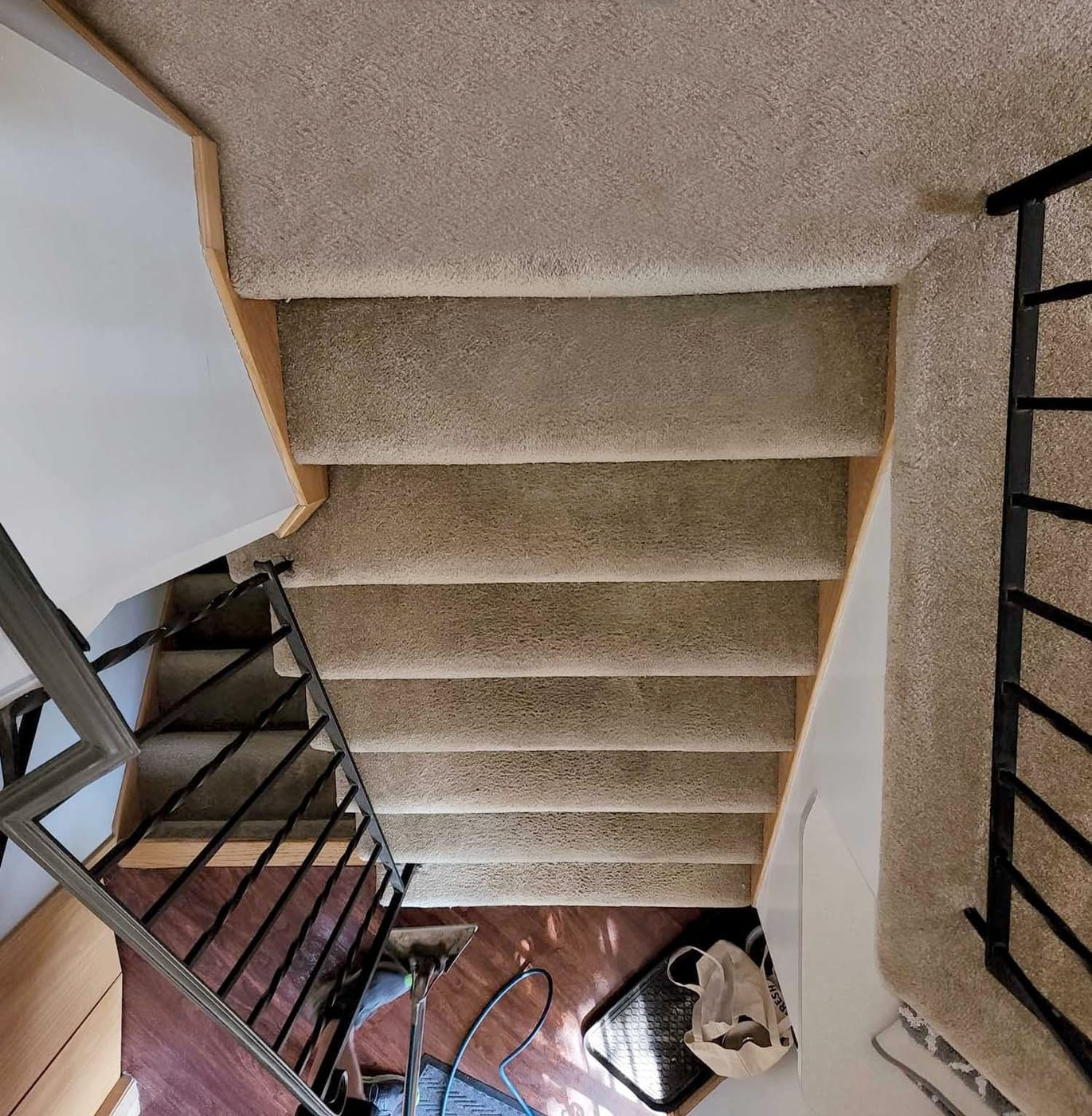 The same carpeted stairs after cleaning, with the marks off the treads