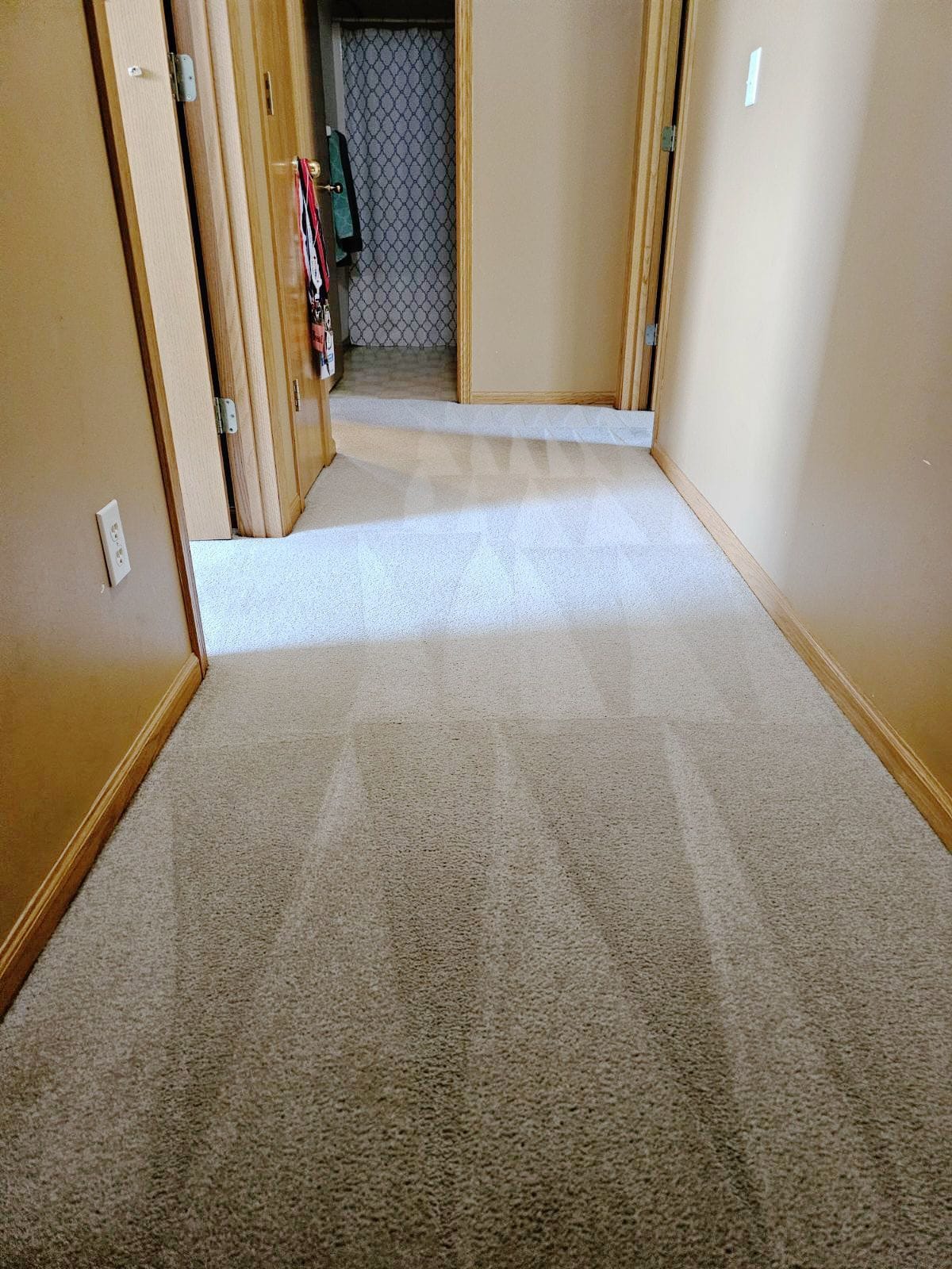 Hallway carpet running into a room