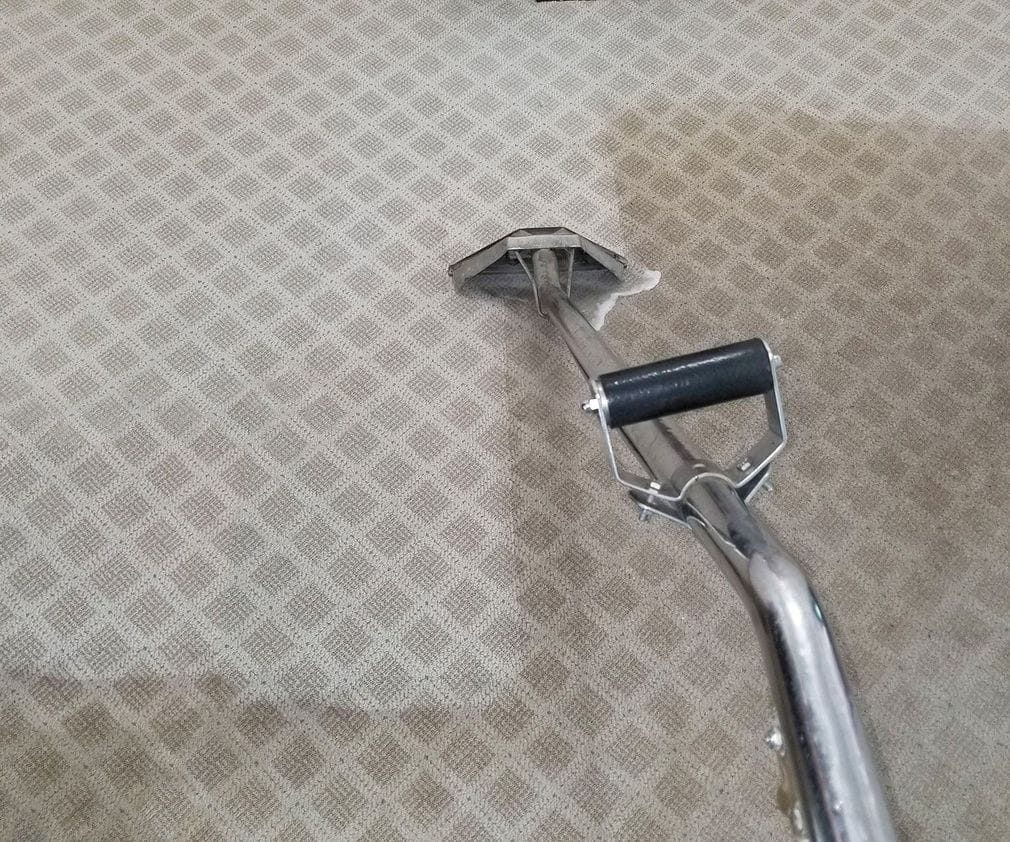 A cleaning wand drawing a clean stripe through carpet